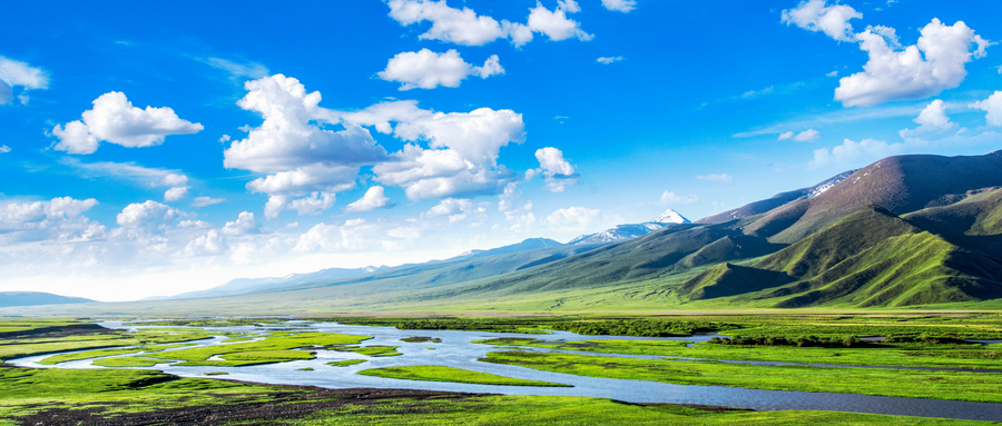 攝圖網_501325516_美麗草原的夏季風景(非企業(yè)商用).jpg